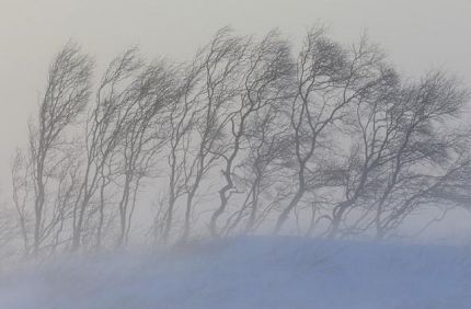 Фото: vpgazeta.ru