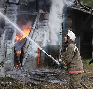 Фото: vpgazeta.ru