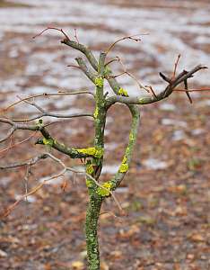 Фото: vpgazeta.ru