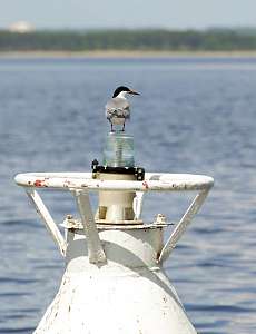  ����� �������� ��������� 2026 ��������� ����������� 